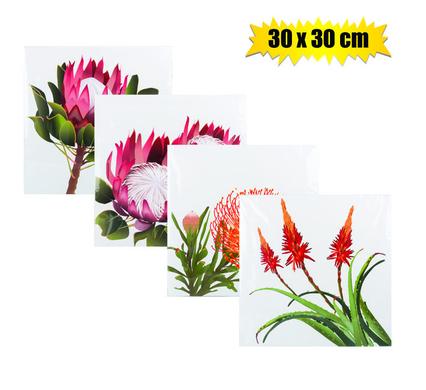 30x30cm Protea Floral Canvas Wall Art